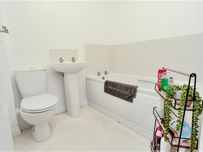 Picture 16